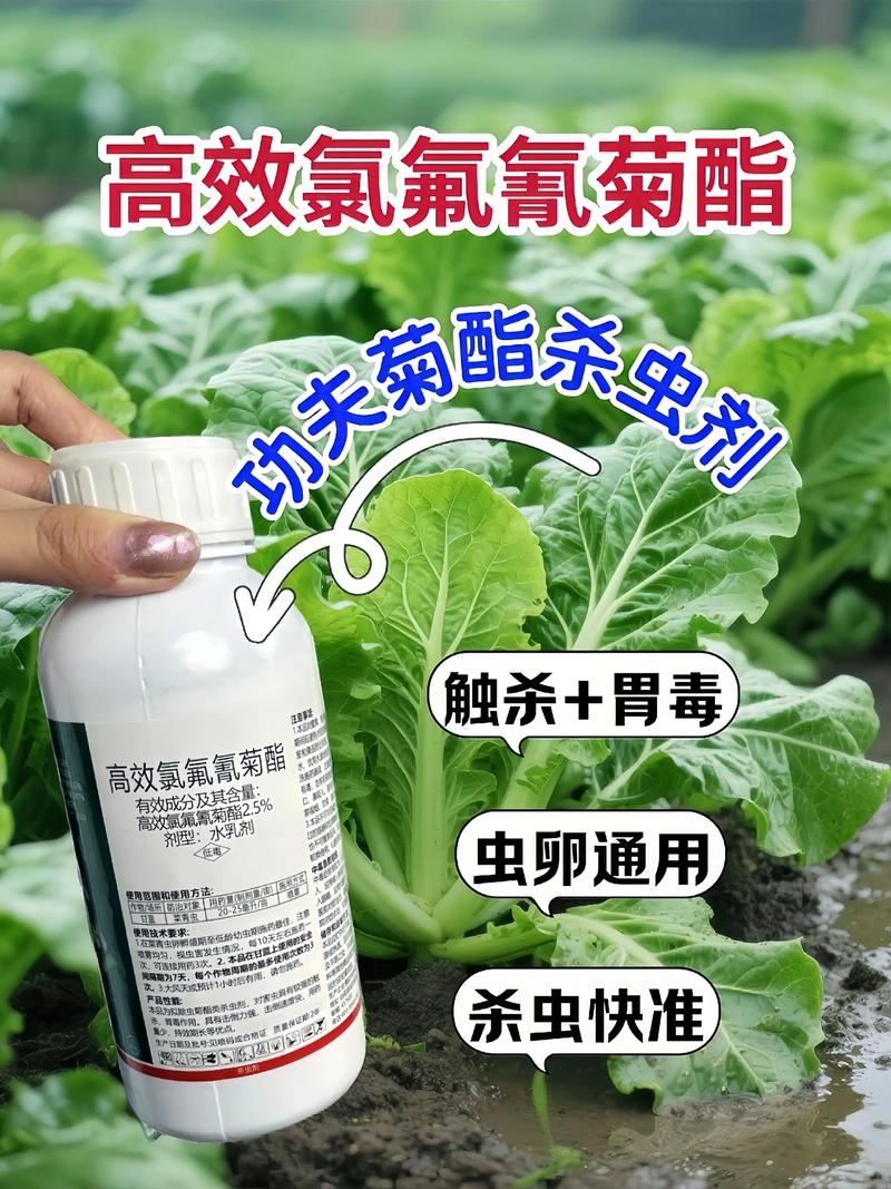 嘉定代生中心:农药对供卵代生妈妈的危害